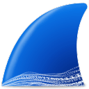 Wireshark v4.6.5绿色便携版