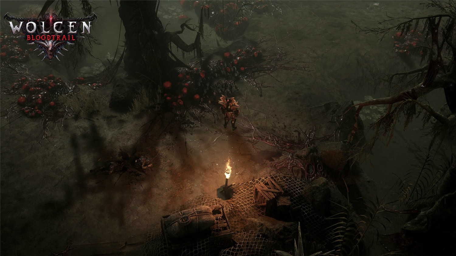 1607335109260459.jpg 4.jpg
