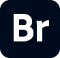Adobe Bridge 2025 v15.1.2.737.0
