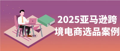 2025亚马逊跨境电商选品案例