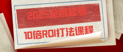 2025全域起号10倍ROI打法课程