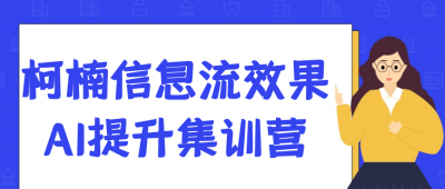 柯楠信息流效果AI提升集训营