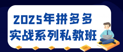 2025年拼多多实战系列私教班