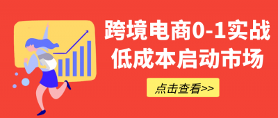 跨境电商0-1实战低成本启动市场