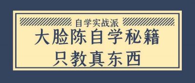 大脸陈自学秘籍只教真东西