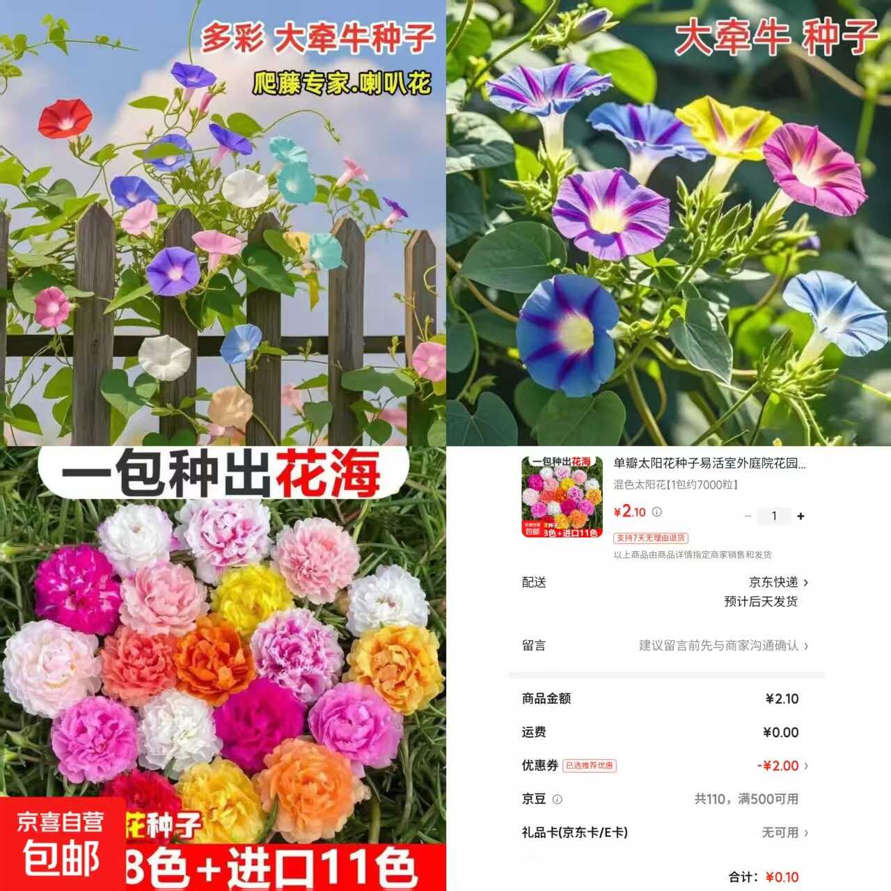 京东0.1太阳花种子约7000粒.jpg